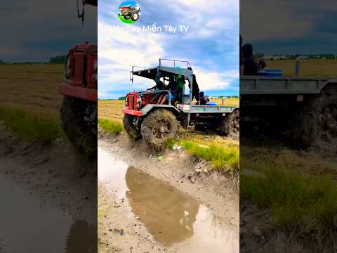 Máy Cày Kéo Lúa Qua Mương #tractor #agrimotor #máycàymiềntâytv #maycay #mientay