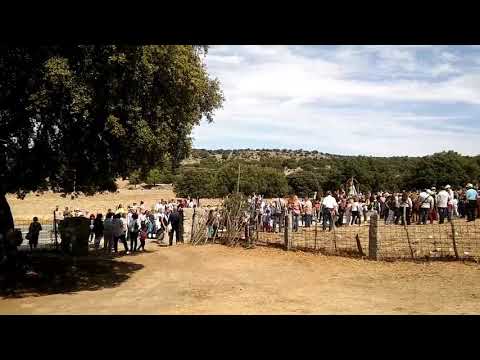 El Espino en el termino de Cabezas del villar(2)