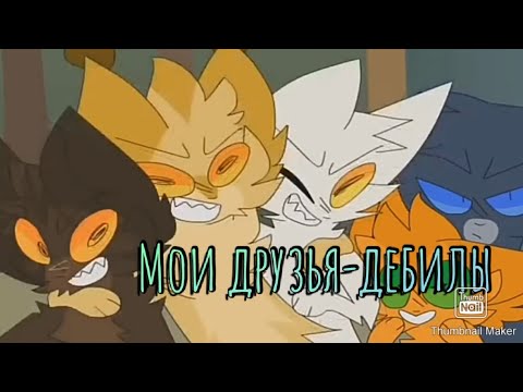 Коты воители. Клип-Мои друзья-дебилы