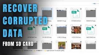 2026 BEST SD Card Data Recovery Software | 95% Success Rate✅