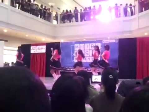 141109 Pink Iris 핑크 아이리스 cover Mr.Chu @ Khibi Music Award