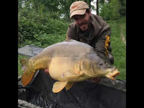 RIKIG :  Carpfishing in cava