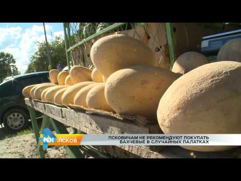 Новости Псков 22.08.2016 # Рейд по точкам продажи арбузов