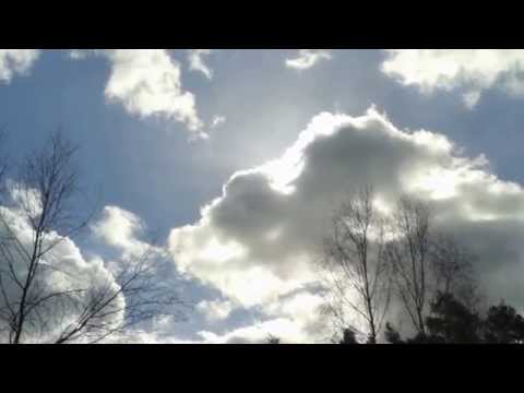 Szamo Viocha vel Obrzycko-Wilki Stobnickie-Oborniki-Objezierze