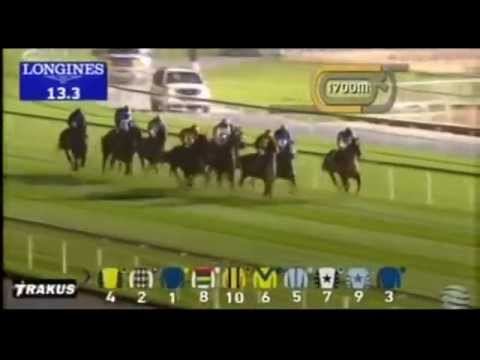 22.01.2015 Meydan (Dubai/UAE) 4.Race Gulf News Classifieds - Handicap 1.800 m