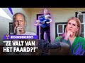 JE NAGELS LAKKEN OP EEN PAARD?! ? | Zapp Recordbrekers | #2 | NPO Zapp
