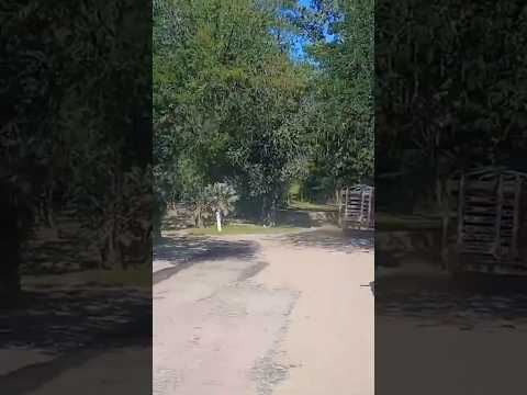 Salsacate, Traslasierras, Córdoba, Argentina.#salsacate