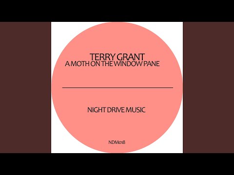 A Moth On the Window Pane (Eelke Kleijn Remix)