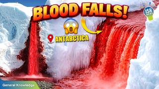 Blood Falls: Antarctica’s 'Bleeding Glacier' That Went Viral