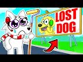 Snowi LOST TYLER In Roblox