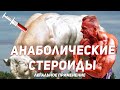 Анаболические стероиды - легальное применение