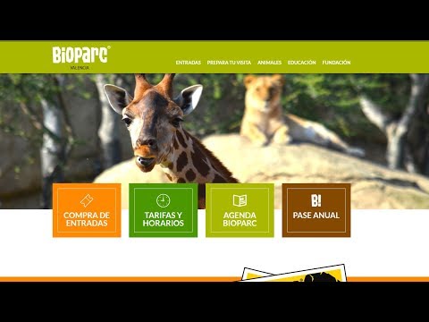 Bioparc Valencia, vívelo en primera persona