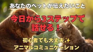 【 初心者向け 】アニマルコミュニケーションの始め方｜今日からできる3ステップ 【 アニマルコミュニケーション スピリチュアル ペット 動物との対話 直感 】