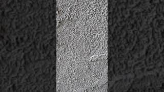 Donovan Leitch Atlantis [Way Down Below the Ocean] I always to be either peaceful or totally blitzed