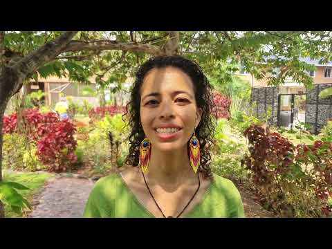 Therapy Introduction Video