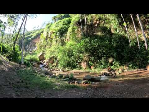 Microcuenca las Cruces - San Vicente de Chucurí Santander 💚