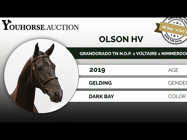 Olson showvideo indoor