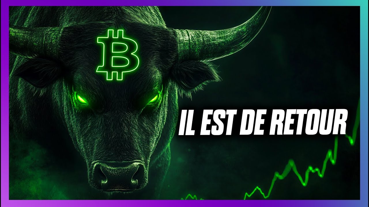📈⚠️ Retour du BULLRUN ? Faut-il FOMO ?