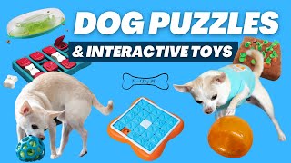 Best Interactive Dog Puzzles & Toys for Mental Stimulation |