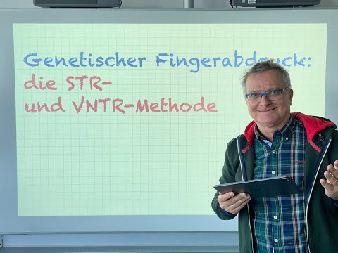 Der genetische Fingerabdruck: die STR- und VNTR-Methode (mit Übungsaufgabe)