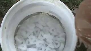 Stop Bees from Drowning in water of feed bucket