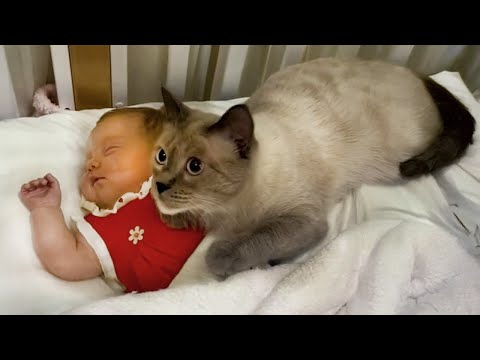 When Your Kids Are PROTECTED by a CAT 😘😸