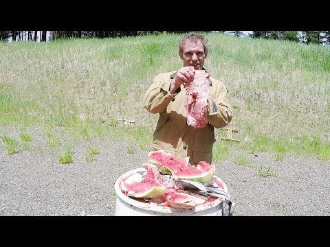 Federal premium HST 9mm hollow points ($40 box of ammo!) #glock #homedefense #ammo