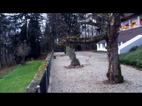 Video Hotel Bienenberg, Liestal, Suiça - um paraíso de natureza!