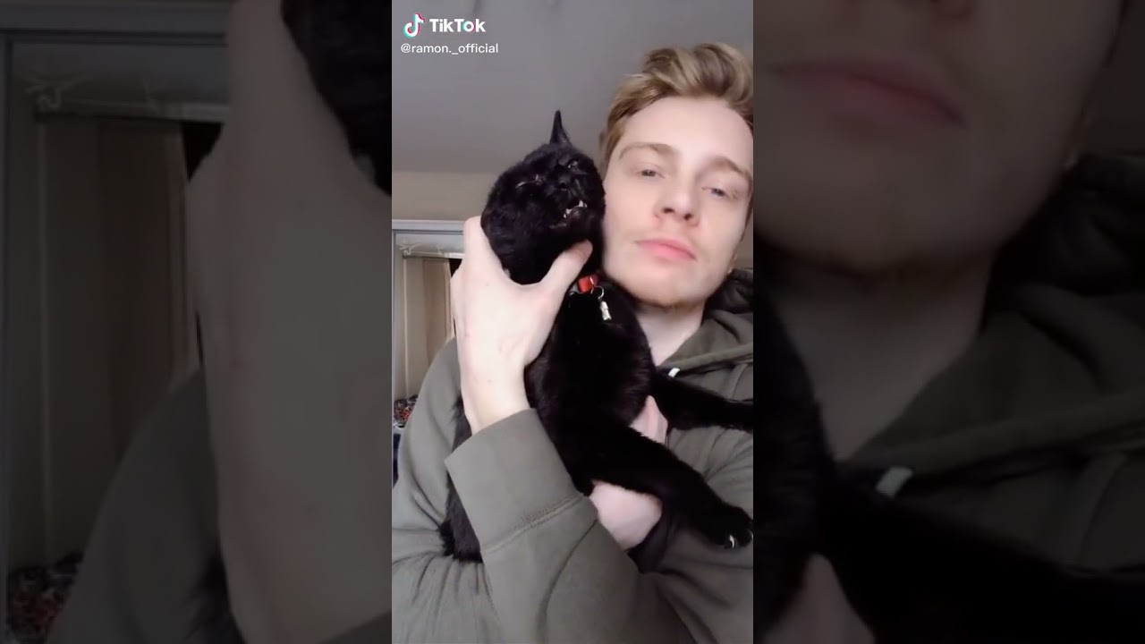 Oh My God .This Cat sings Poker Face By Lady Gaga. So Funny