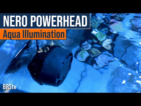 AI Nero 3 & AI Nero 5 Powerheads: Little Water Rockets With a Ton of Flow and Tiny Footprint.