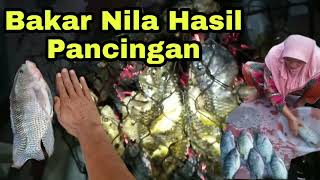 Download lagu Bakar ikan hasil Mancing bikin ngiler gaes!!! mp3