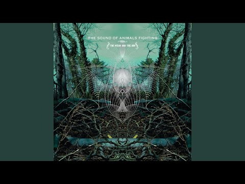 Cellophane - The Sound of Animals Fighting
