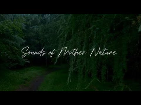 Sounds of Mother Nature (Ekaterina Shelehova)