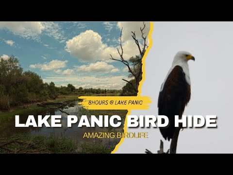 Lake Panic Bird Hide,Kruger National Park