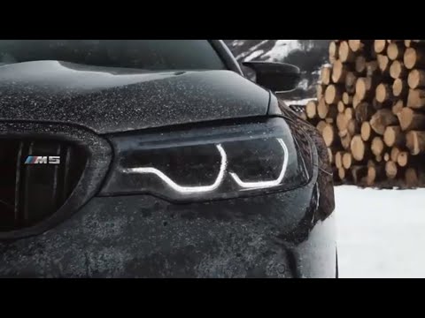 Burgos x Bearded Legend x Saliva Grey TURN TO ASH