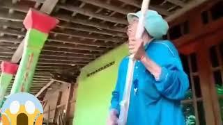 Download lagu Asu weee bajingan mp3