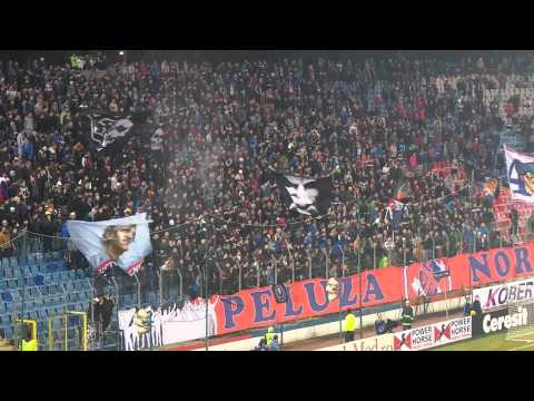 Exclusiv la Fan Steaua TV! Galeria Stelei LIVE la meciul cu Chiajna!