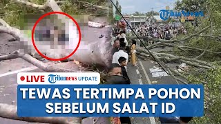 LIVE: 2 Jemaah Tewas Tertimpa Pohon Beringin sebelum Salat Id di Alun-alun Pemalang, 17 Terluka