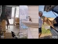 These Dumb Dogs This Is Why We Can T Have Nice Thing