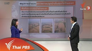 วาระประเทศไทย - ผลกระทบปลูกข้าวนาปรัง ลุ่มน้ำเจ้าพระยา