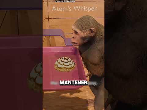 El experimento del mono de Skinner 🐵