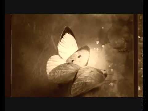 Видеообзор