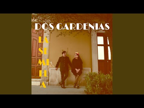 Los sueños de Lorenzo