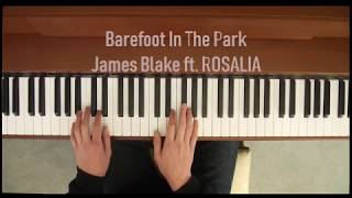 James Blake - Barefoot In The Park ft. Rosalia (Piano Cover)