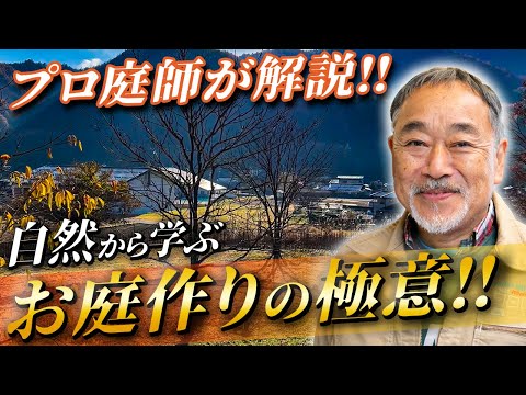  2022 年に続く住宅前の造園における最も強力なトレンド  庭園