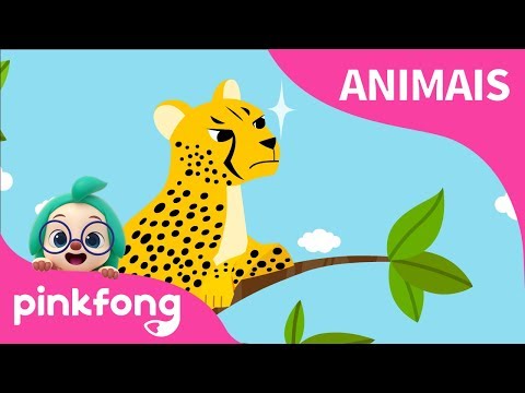 Chita | Canções de Animais | Pinkfong Canções para Crianças