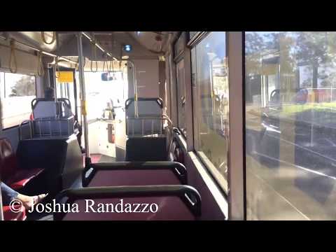 Punchbowl Bus Co. m/o 886 - Scania L94UB (ZF/cb60)