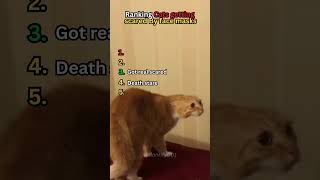 Ranking Cats getting scared By face masks #shoertsvideo #funny #cat