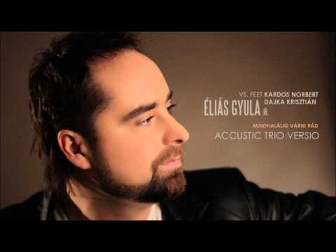 Éliás Gyula - Mindhalálig várni Rád ( Accustic Trio  versio )