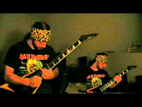 TPA Space Kitten Guitar Cover